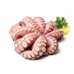 Baby Octopus  Frozen Box
