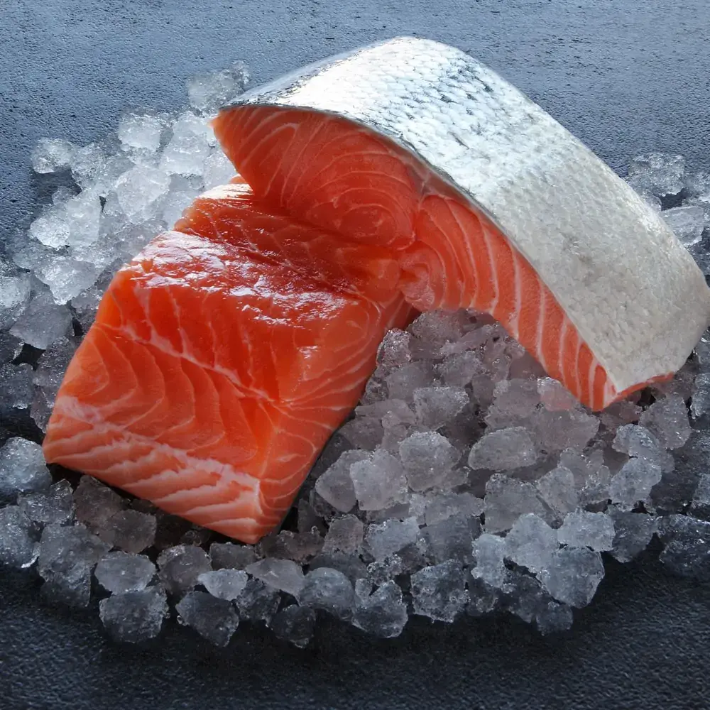 Salmon fillet with skin
