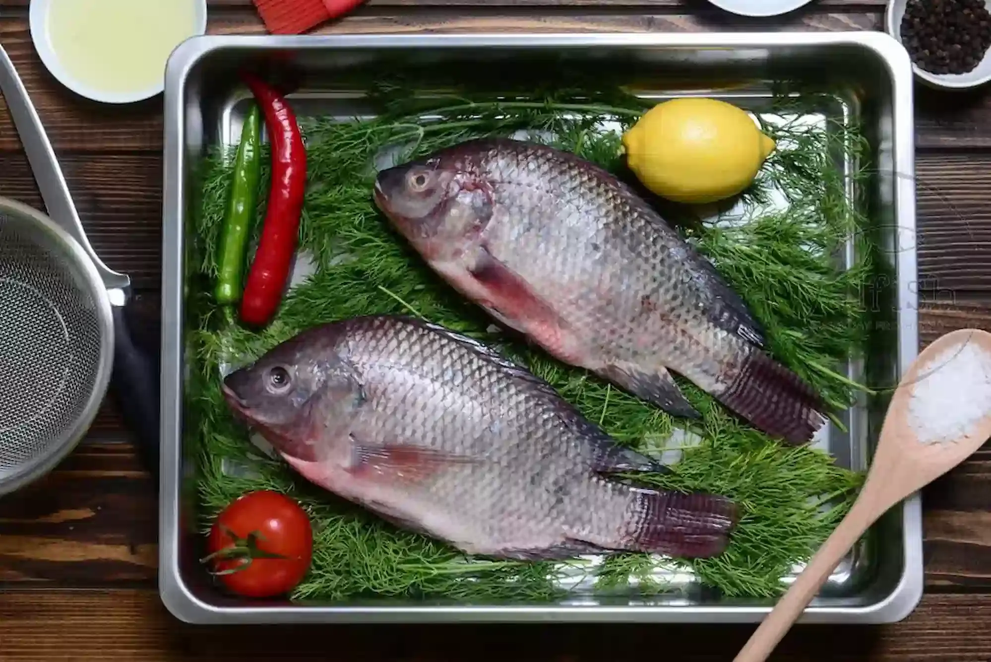 Tilapia