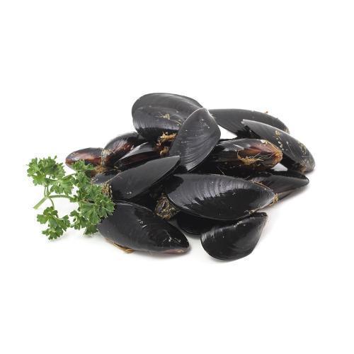 Mussel Frozen Box