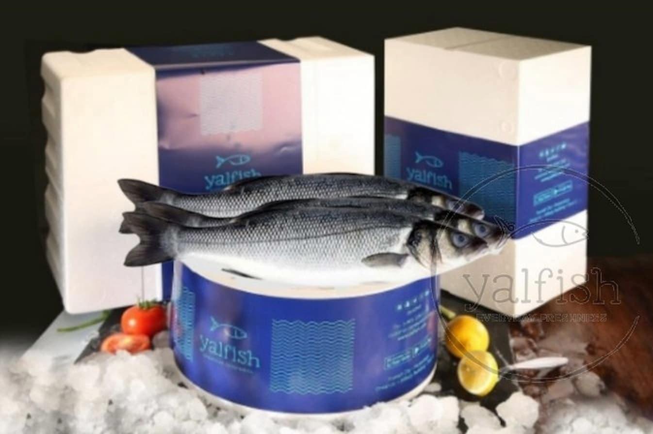 Seabass-Box