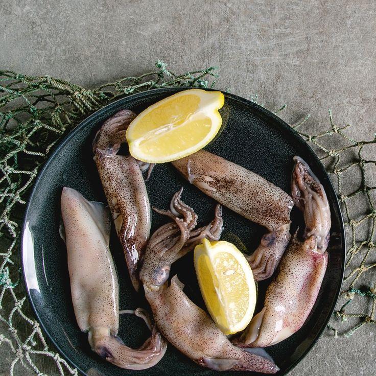 icon Squid & Cuttlefish